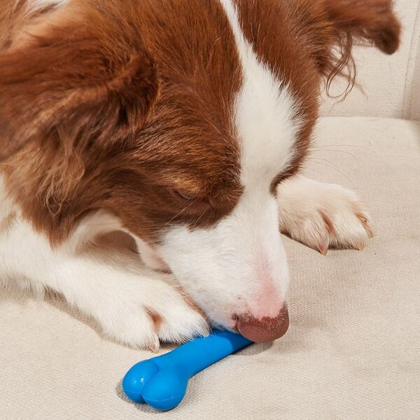 

Bone Design Pet Chew Toy, Blue