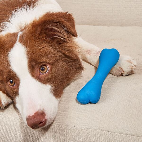 

Bone Design Pet Chew Toy, Blue