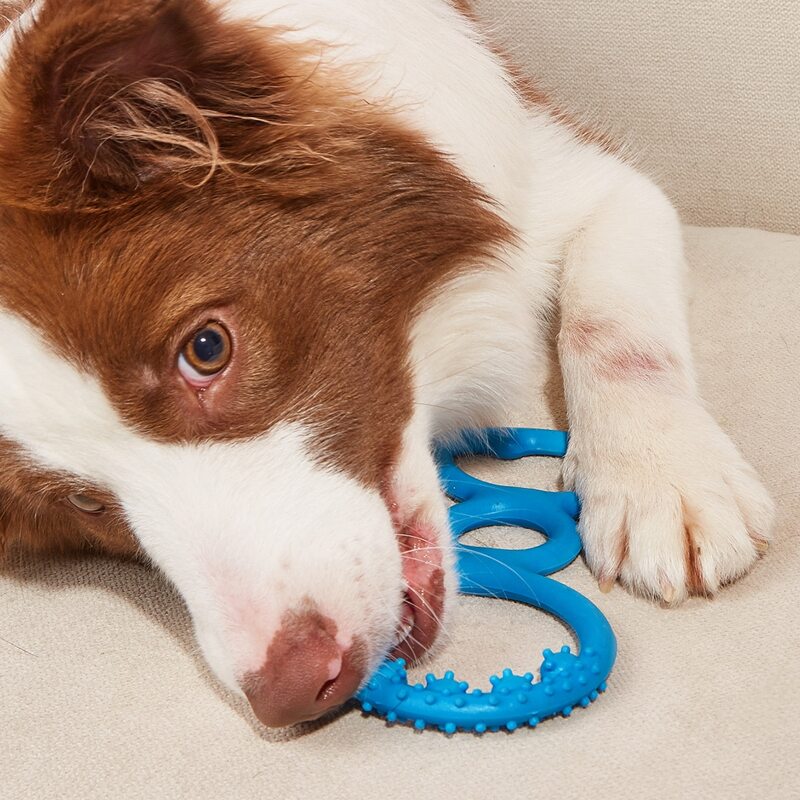 

Hand Ring Pet Chew Toy, Blue