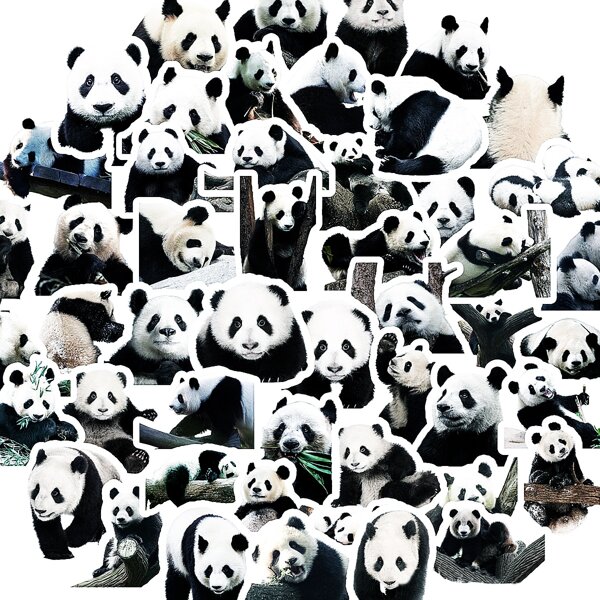 

50pcs Panda Pattern Sticker, Multicolor