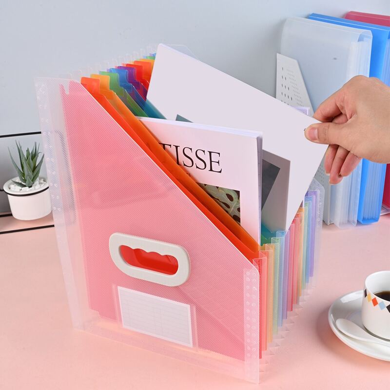 

1pc 13 Pocket A4 Folder, Multicolor