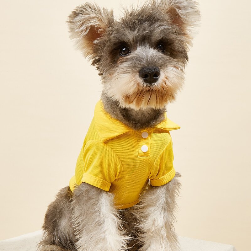 

Plain Pet Shirt, Yellow