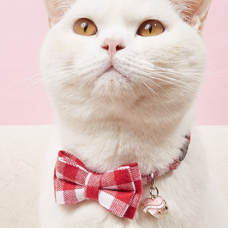 

Heart Pendant & Bow Decor Pet Collar, Red and white