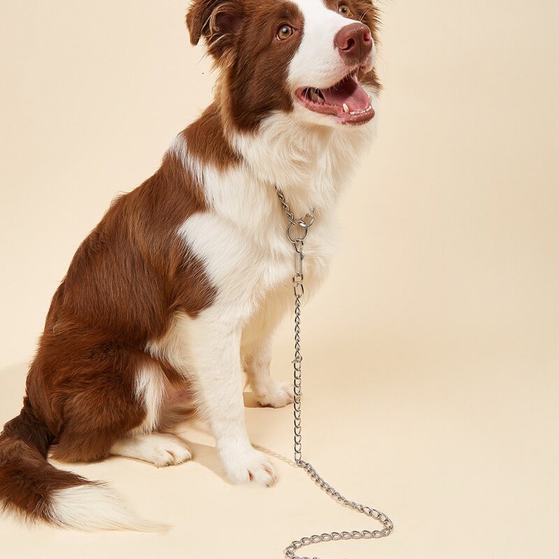 

1pc Chain Pet Leash, Multicolor