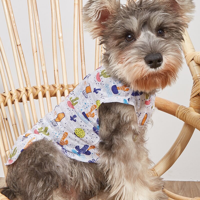 

Cactus Print Pet Tank Top, Multicolor