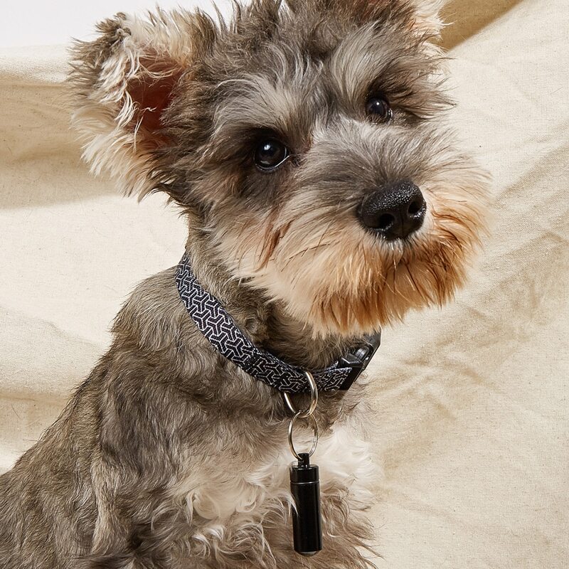 

1pc Pet ID Pendant, Black