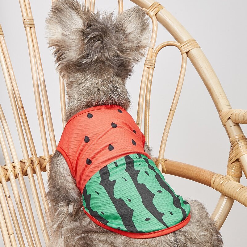 

Watermelon Pattern Pet Tank, Multicolor