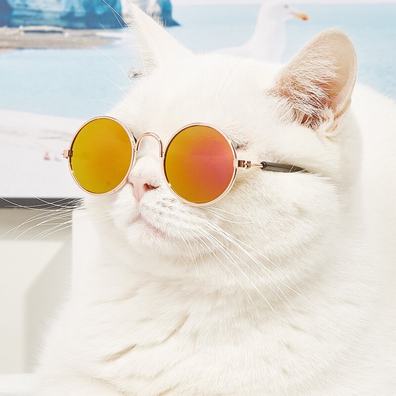 

1pair Round Lens Pet Glasses, Multicolor