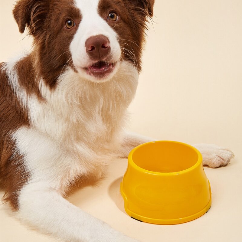 

Plain Pet Bowl, Yellow