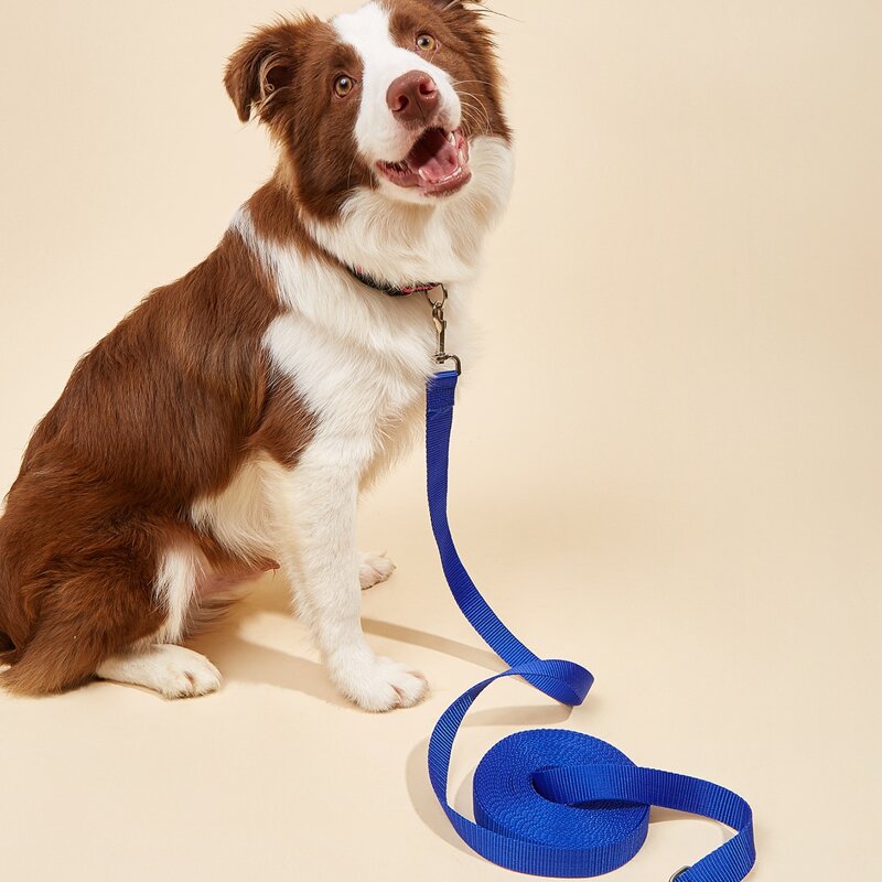 

1pc Lengthened Pet Leash, Blue