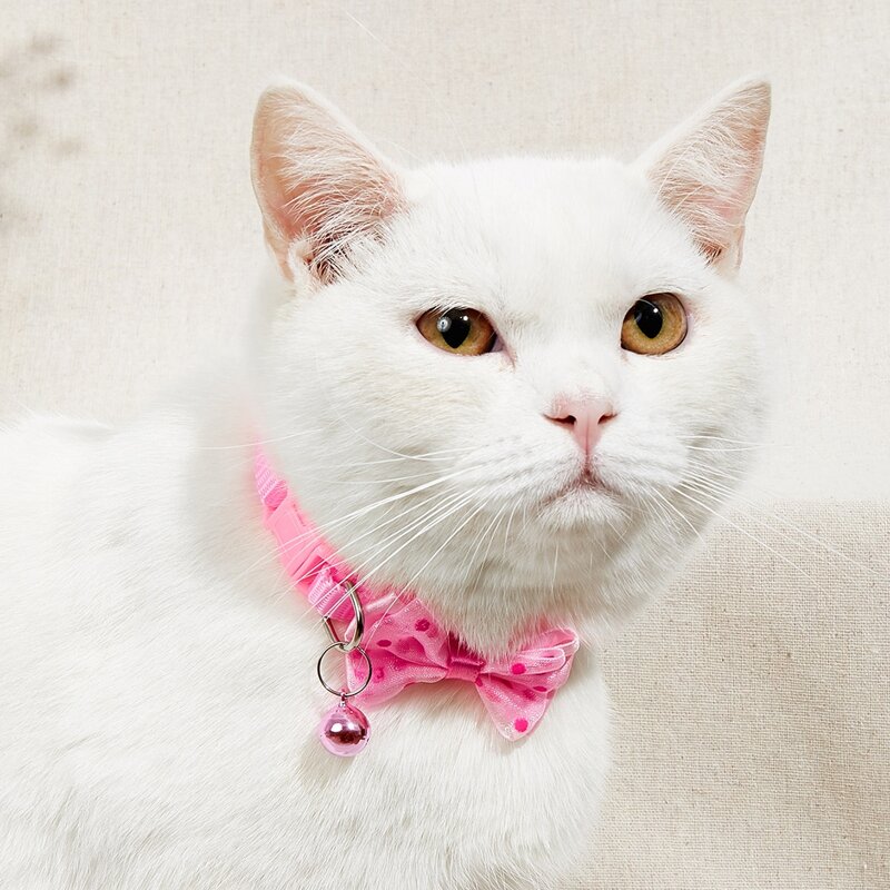 

Bow Decor Bell Pet Collar, Pink