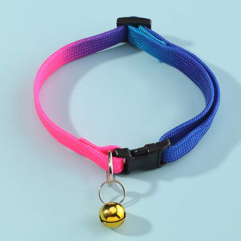 

Bell Decor Gradient Random Pet Collar, Multicolor