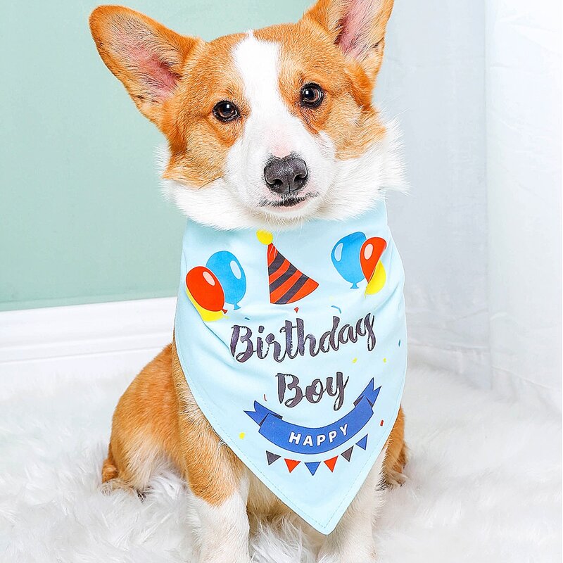 

Birthday Slogan Graphic Pet Bib, Blue