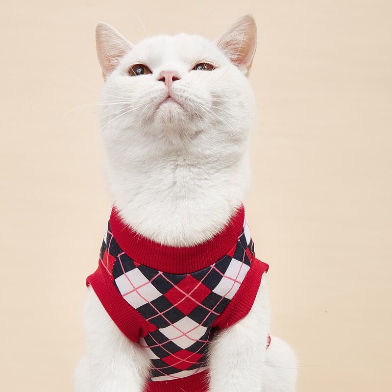 

Diamond Pattern Pet Tank Top, Multicolor