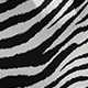 Black and White