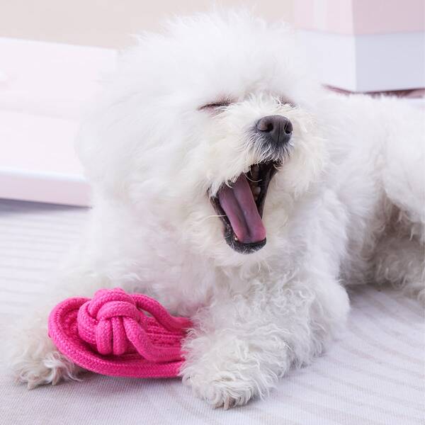 

Rope Slippers Design Pet Chew Toy, Hot pink