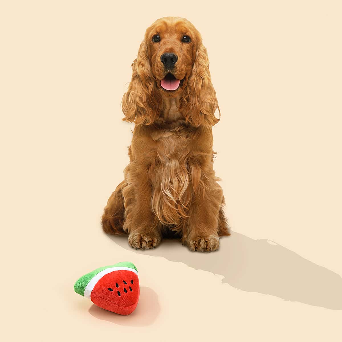 

Watermelon Shaped Pet Sound Toy, Multicolor
