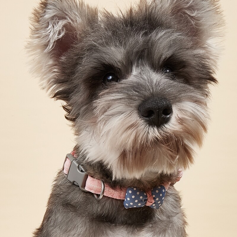 

Bow Decor Pet Collar, Pink