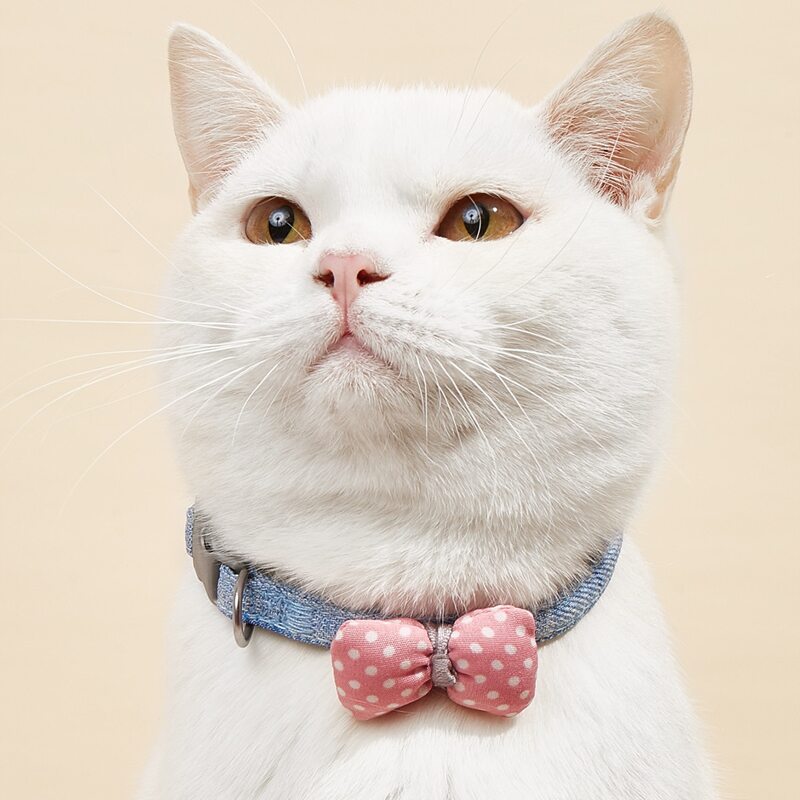 

Bow Decor Pet Collar, Blue