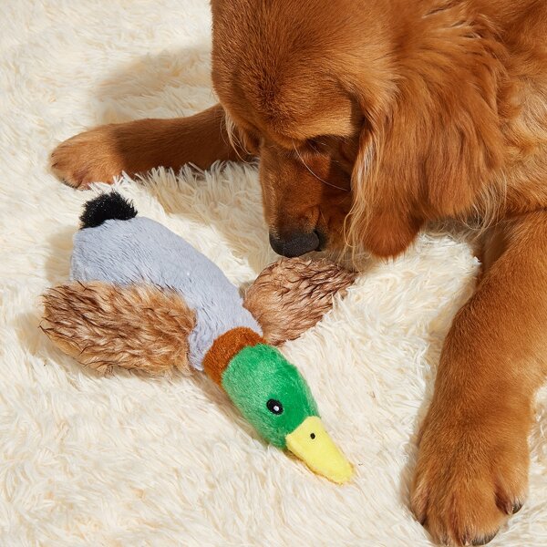 

Duck Shaped Pet Sound Toy, Multicolor