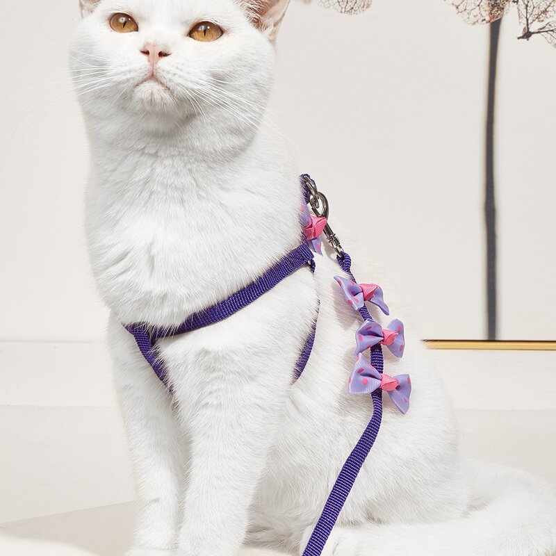

1pc Bow Decor Pet Harness & 1pc Pet Leash, Purple