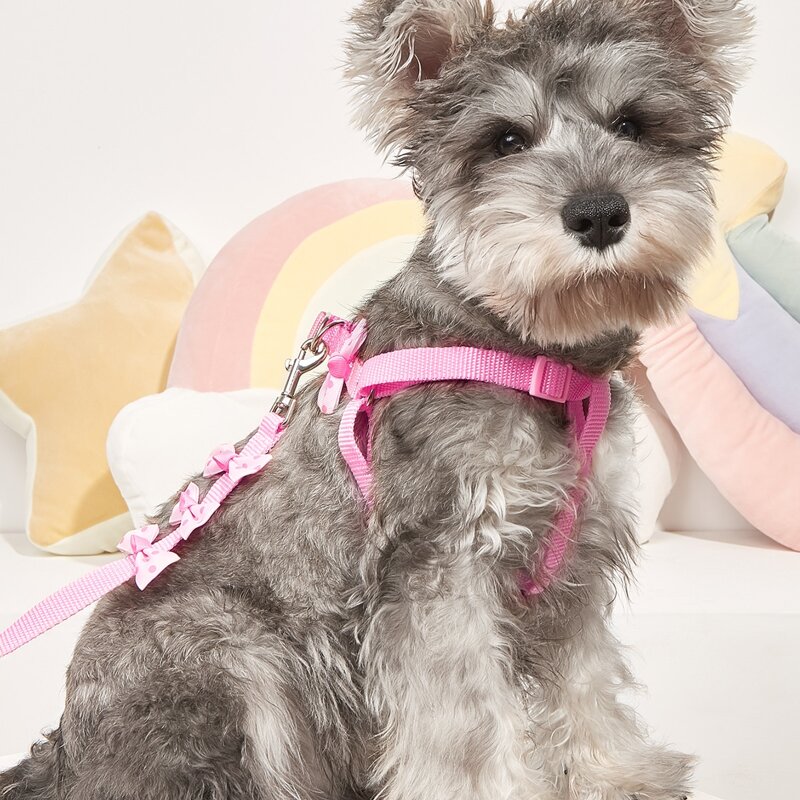 

1pc Bow Decor Pet Harness & 1pc Pet Leash, Pink