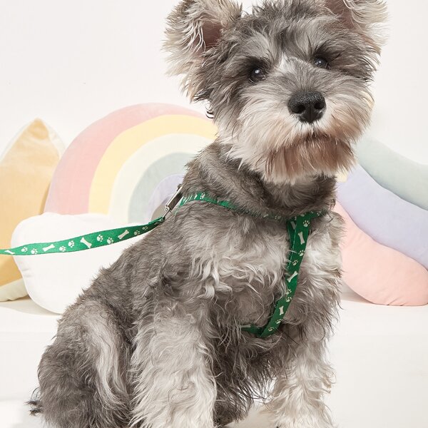 

1pc Paw Print Pet Harness & 1pc Pet Leash, Green