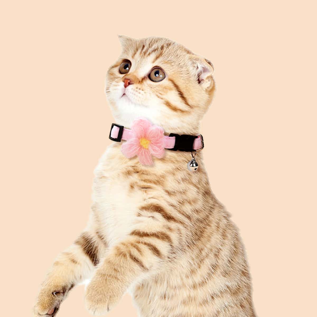 

Flower Decor Pet Collar, Pink