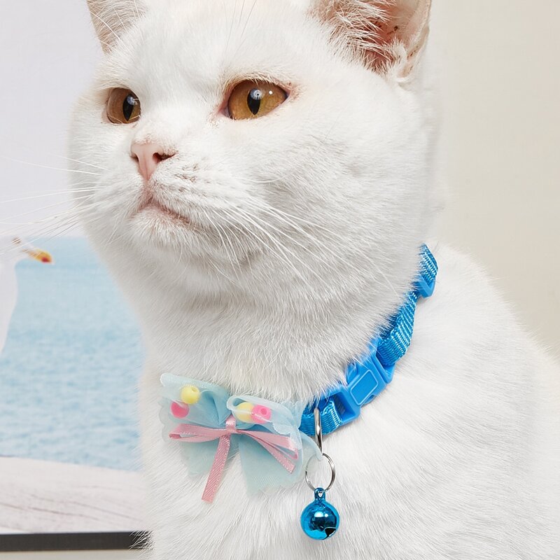 

Bow Decor Pet Collar, Blue