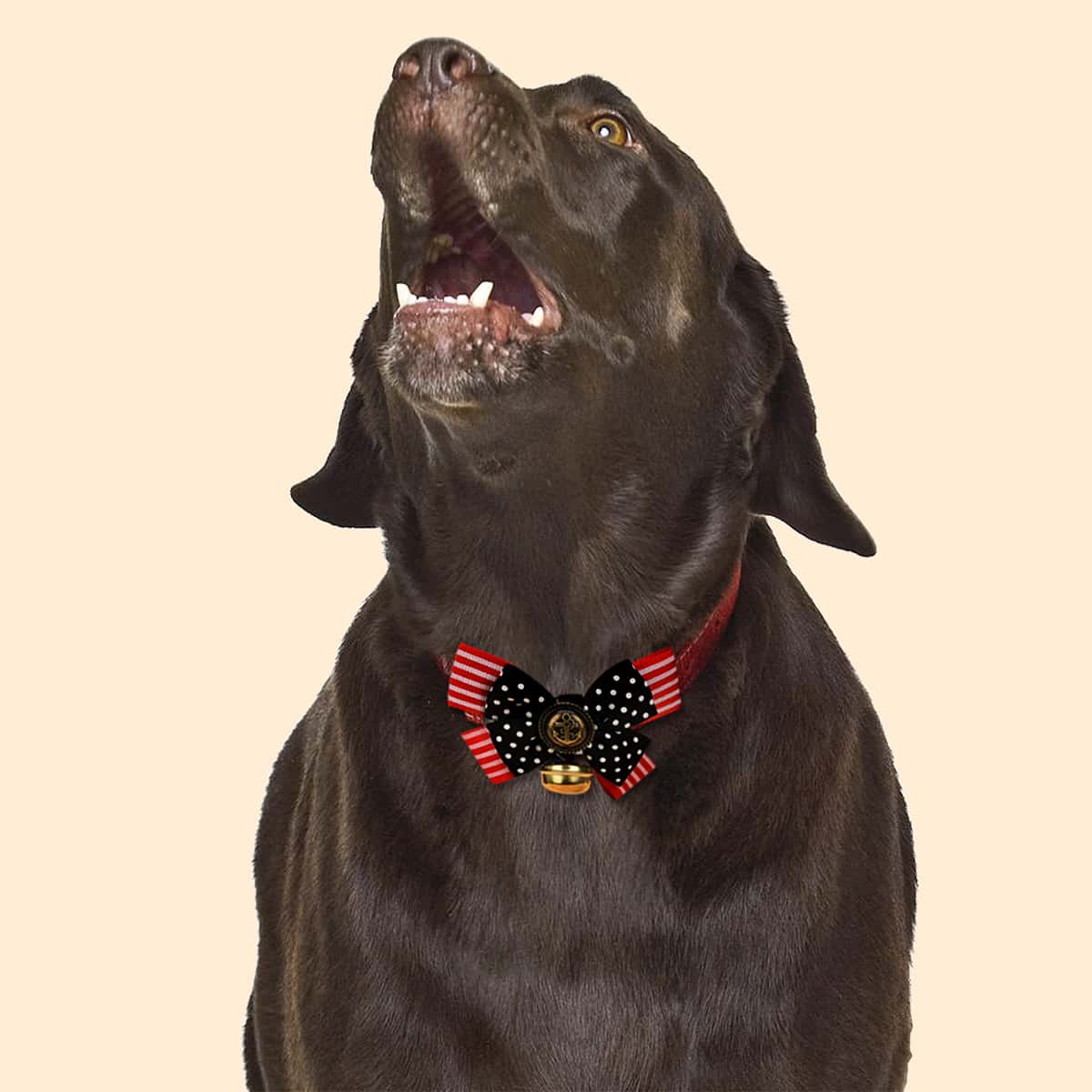 

Bell Charm Geometric Pattern Pet Bow, Multicolor