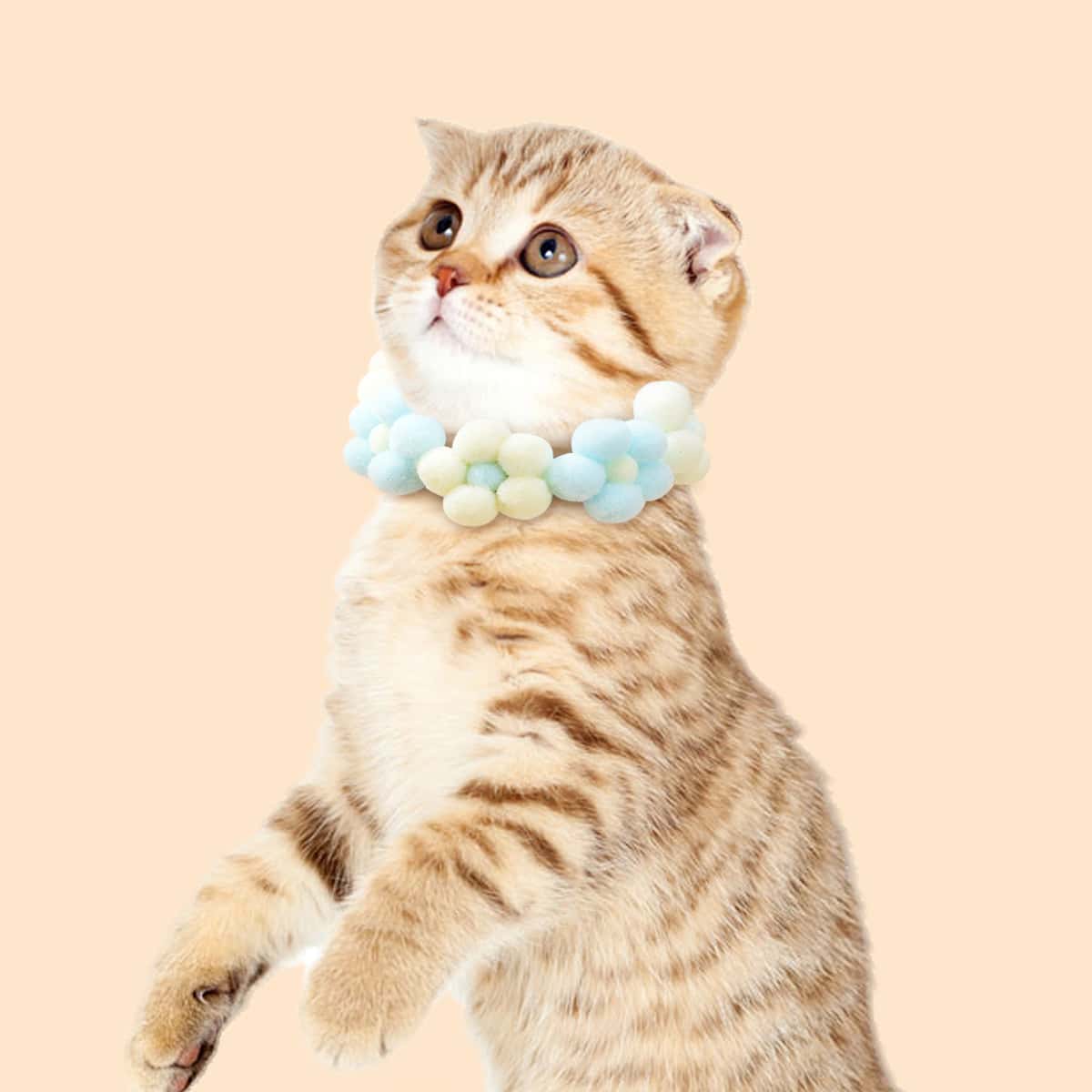 

Flower Beaded Pet Necklace, Multicolor