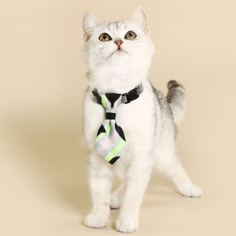 

Striped Pattern Pet Tie, Multicolor