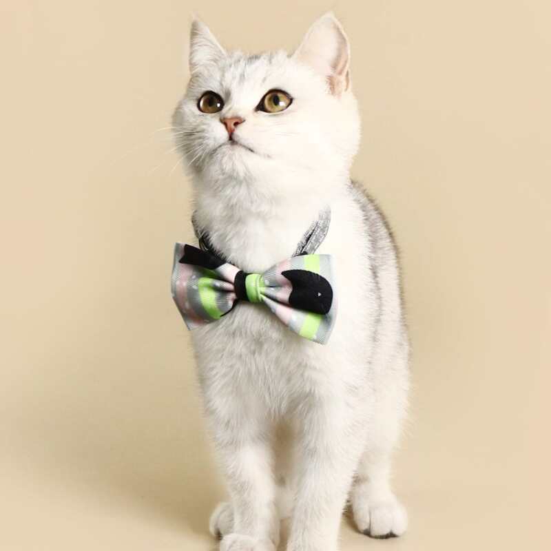 

Striped Pattern Pet Bow, Multicolor