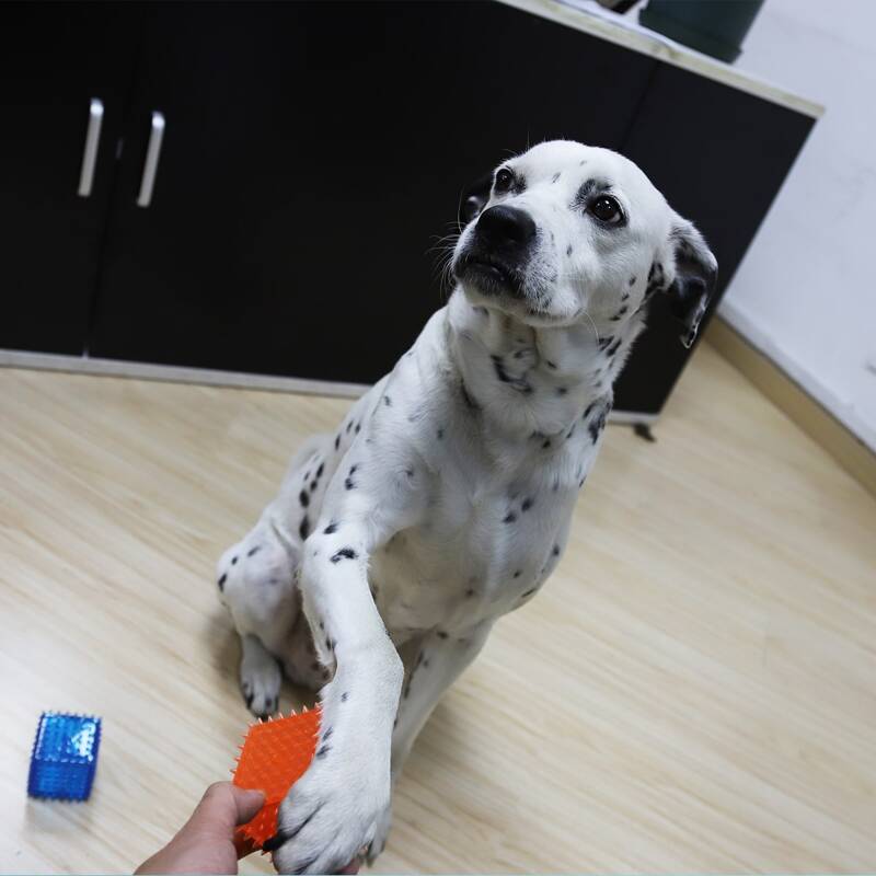 

2pcs Cube Pet Chew Toy, Multicolor