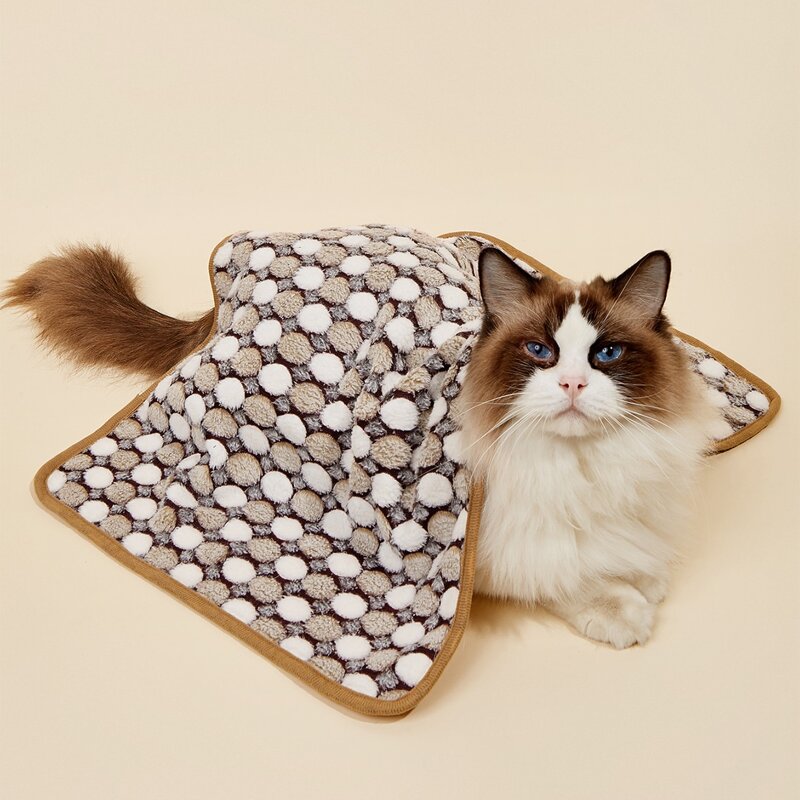 

Dot Print Pet Blanket, Brown