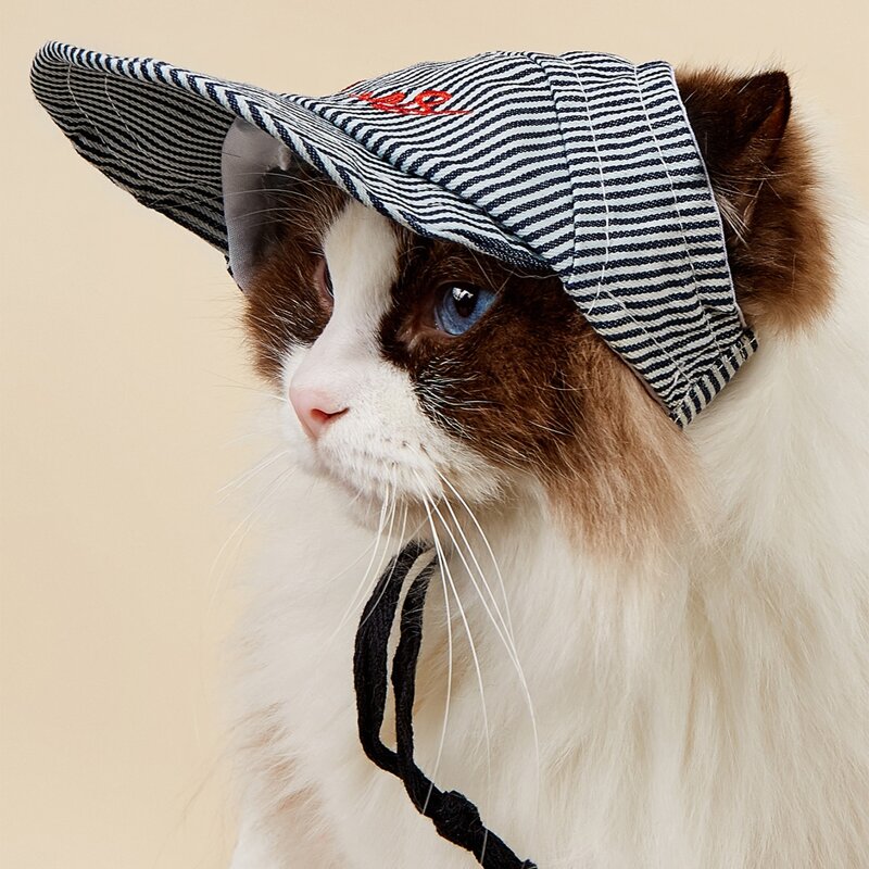

Striped Pattern Pet Cap, Multicolor
