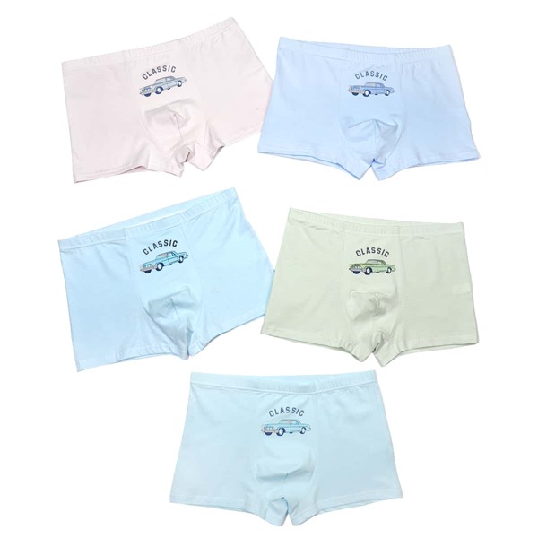 

Toddler Boys 5pcs Car & Letter Graphic Underwear, Multicolor