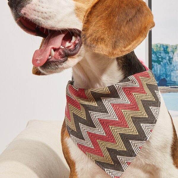 

Chevron Pattern Pet Bandana, Multicolor