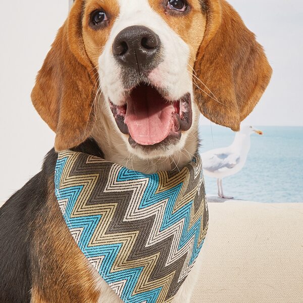 

Chevron Pattern Pet Bandana, Multicolor