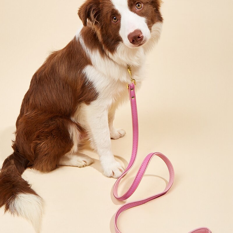 

1pc Two Tone Pet Leash, Pink