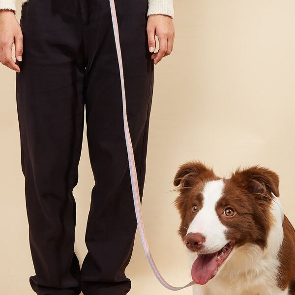 

1pc Pet Collar & 1pc Pet Leash With Adult Belt, Pink