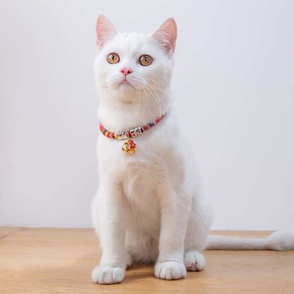 

Bell Pendant Pet Necklace, Multicolor