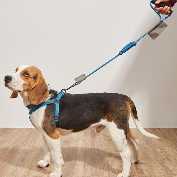 

3pcs Plain Pet Collar & Harness & Leash Set, Blue