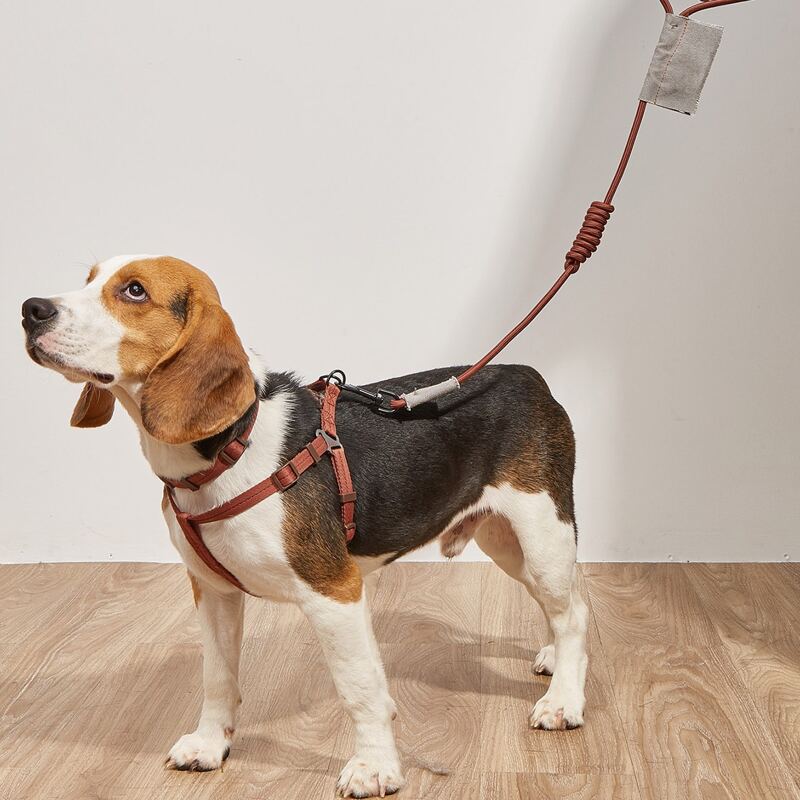 

3pcs Plain Pet Collar & Harness & Leash Set, Brown