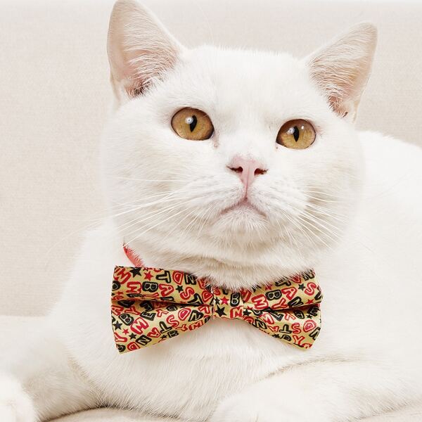 

Letter Graphic Pet Bow, Multicolor