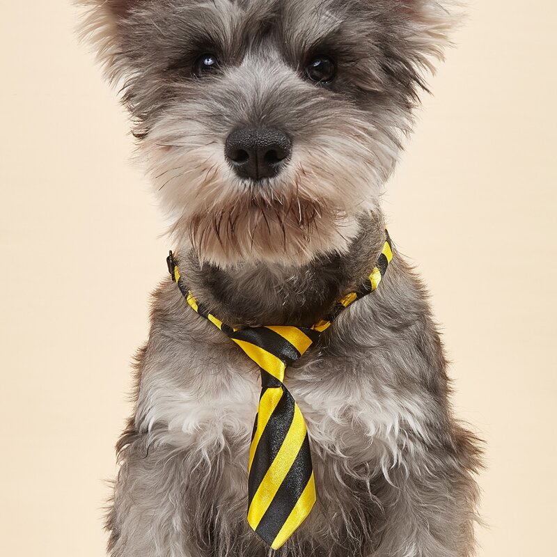 

Striped Pattern Pet Tie, Yellow