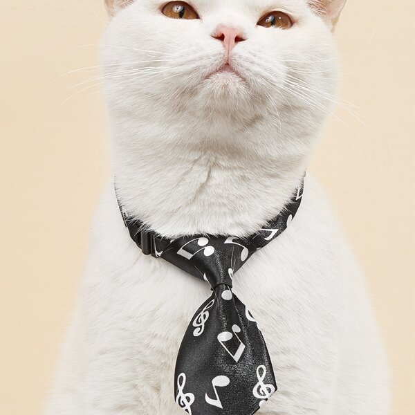 

Music Note Print Pet Tie, Black