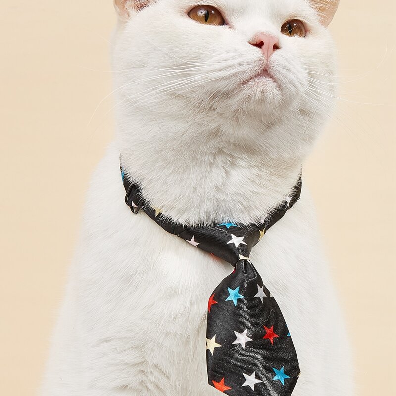 

Star Print Pet Tie, Black