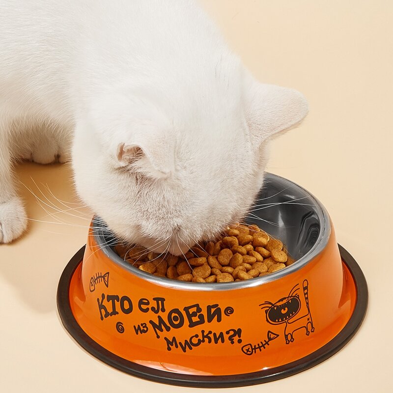 

Cartoon Graphic Pet Bowl, Orange