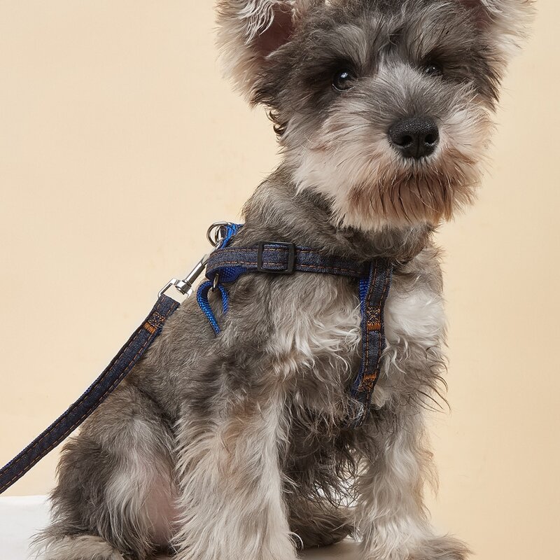 

1pc Denim Pet Leash & 1pc Pet Harness Set, Blue